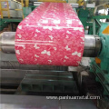 Roofing Materials Galvanized Steel Coil Ral PPGI